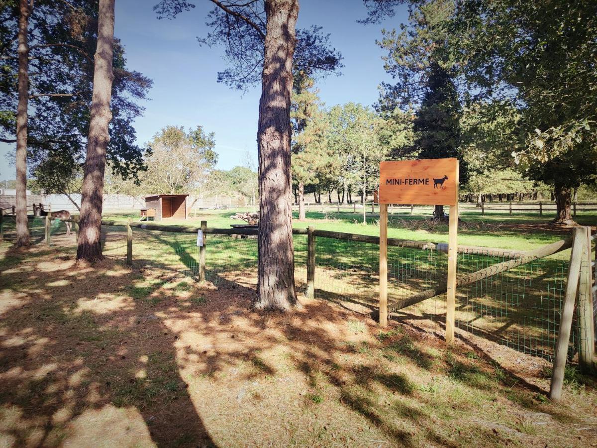 Bungalow Cosy Equipe La Boissiere-de-Montaigu ภายนอก รูปภาพ