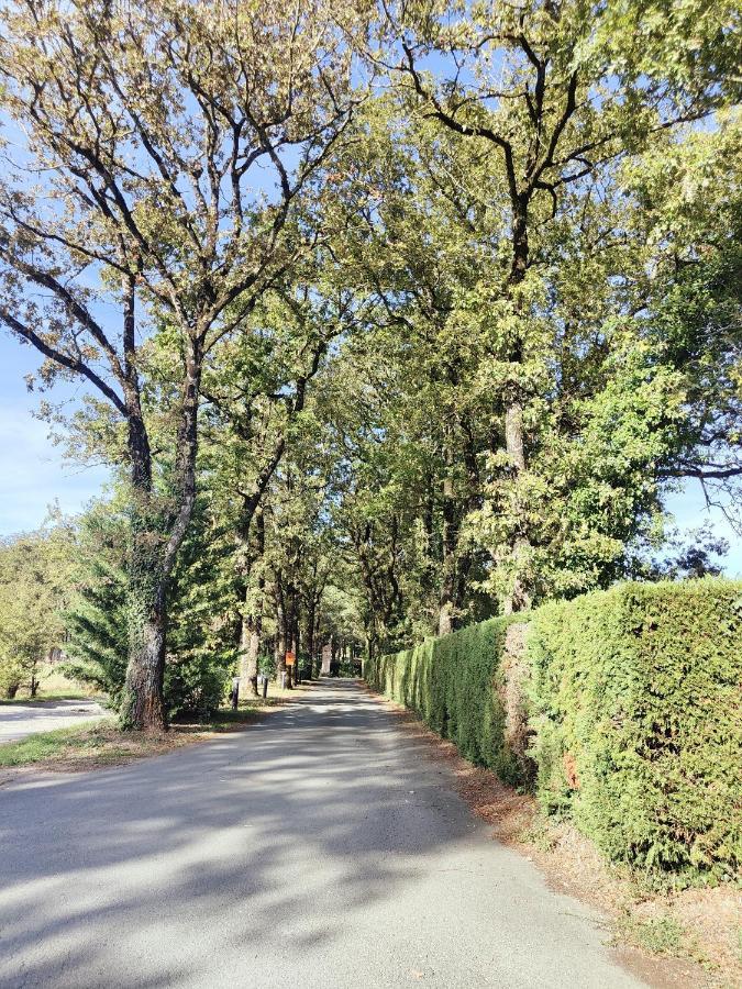 Bungalow Cosy Equipe La Boissiere-de-Montaigu ภายนอก รูปภาพ